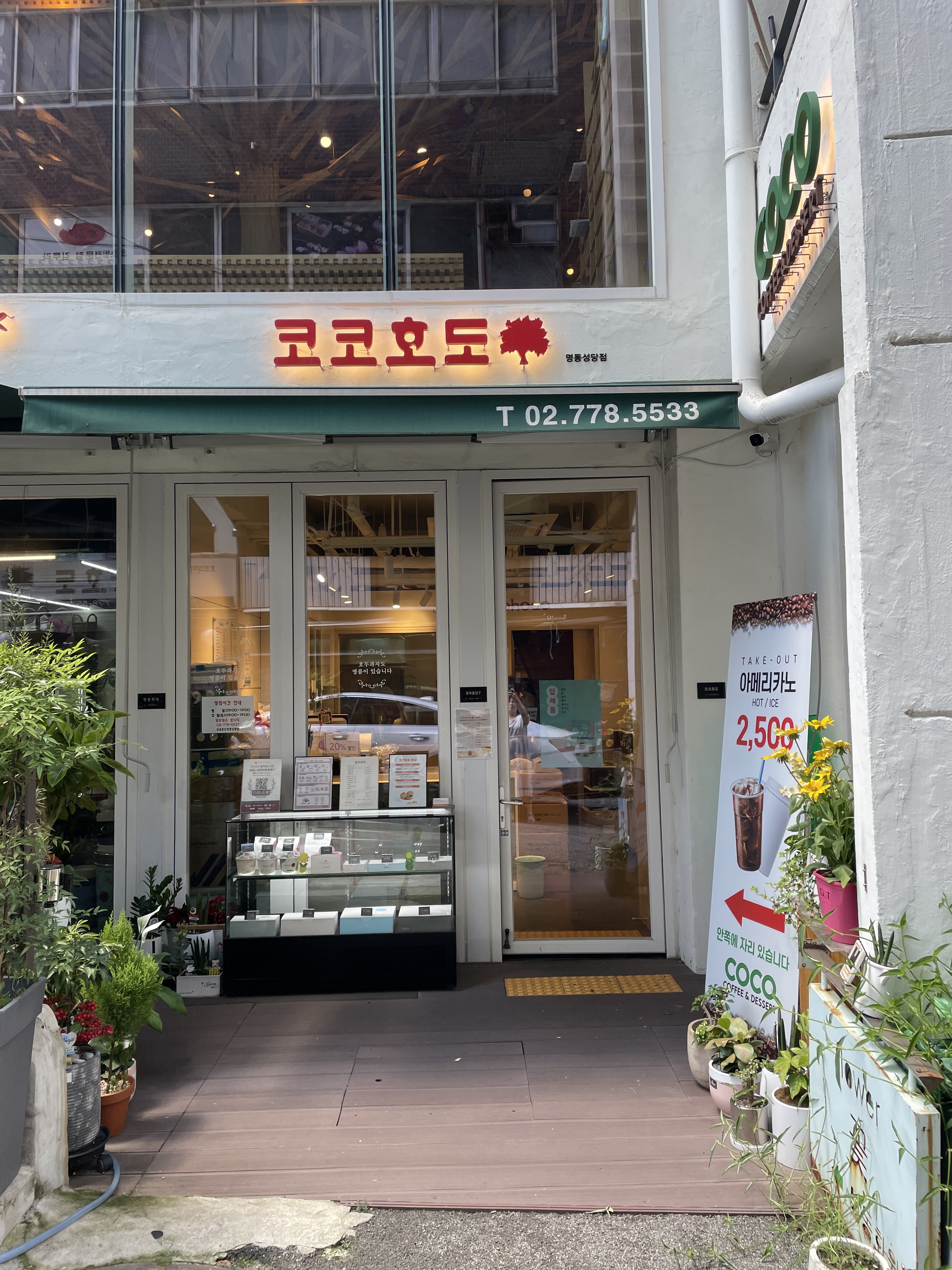 코코호도 명동성당점