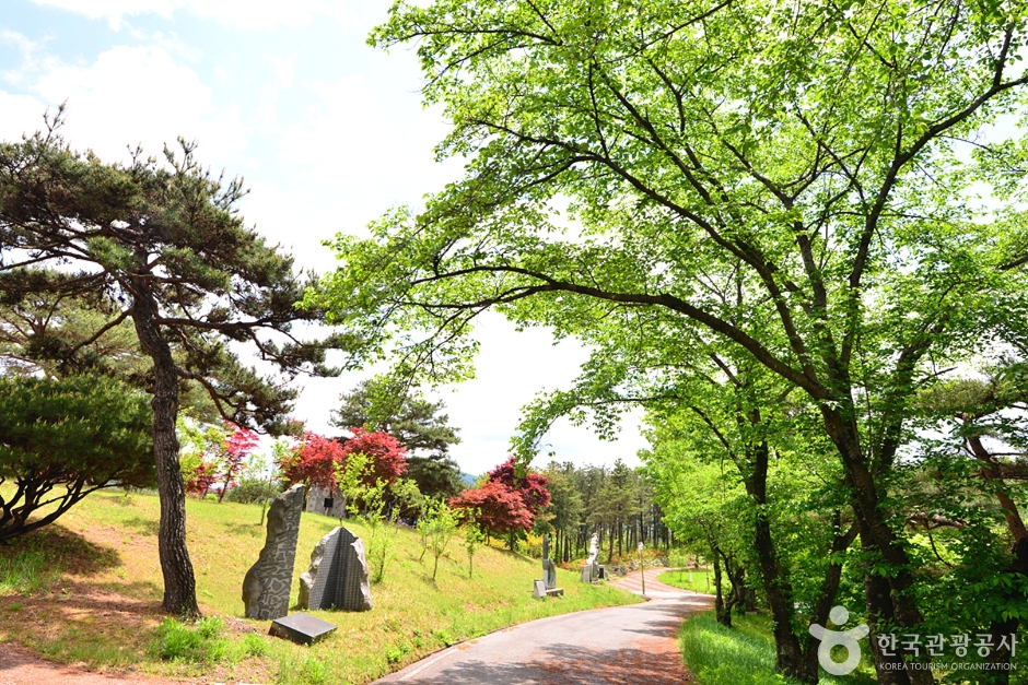 장성 가볼만한곳 베스트 10