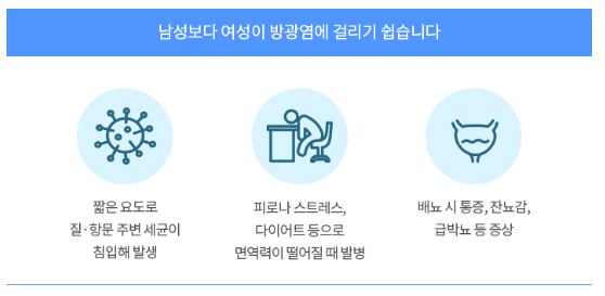 방광염발병빈도-여성이더높다.