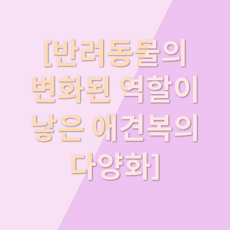 애견복 브랜드 창업_1