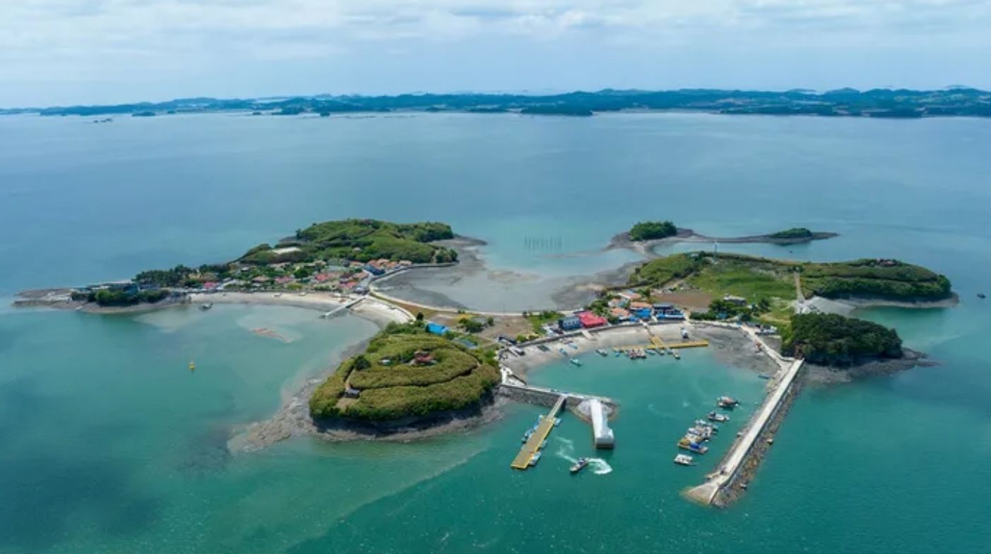 홍성 죽도 사진