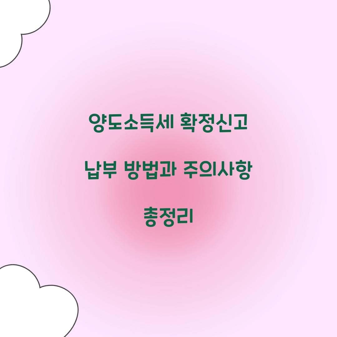 양도소득세 확정신고 납부