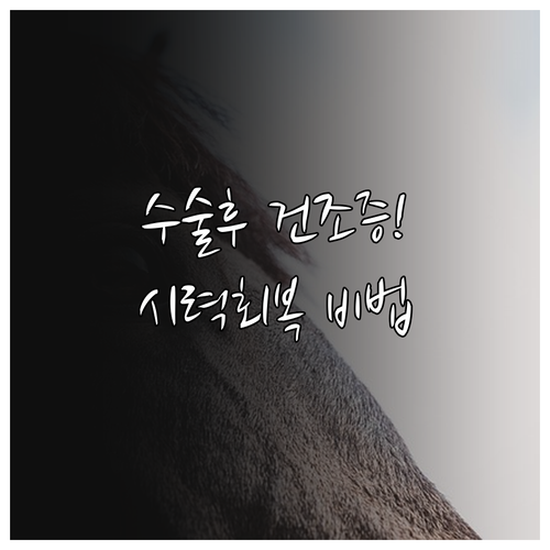 백내장 수술 후 안구 건조증 관리와 ..