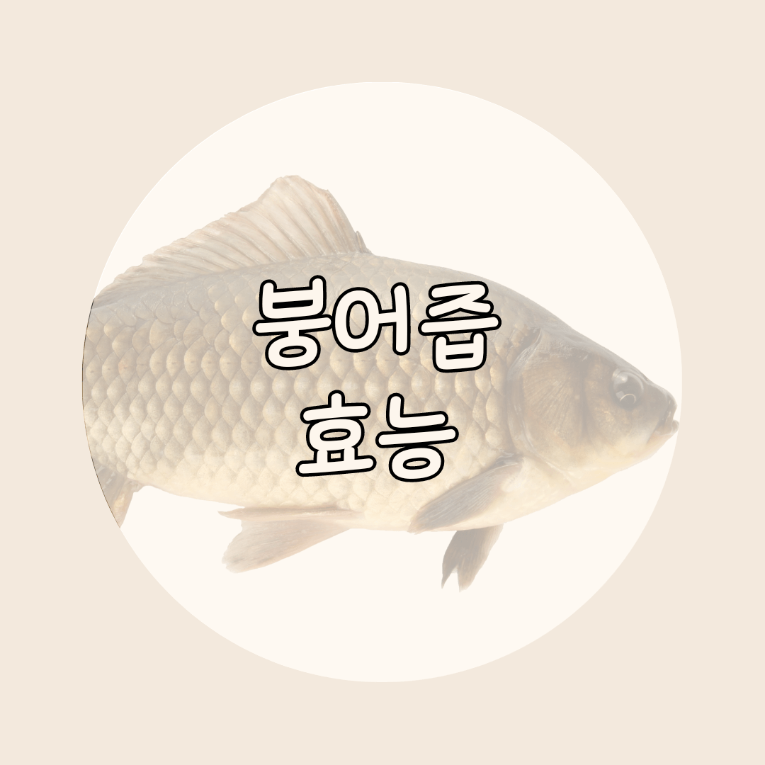 붕어즙 효능