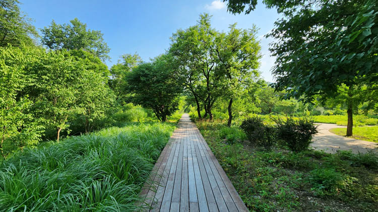 식물진화속을 걷는정원-2