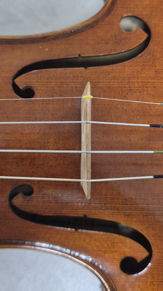 바이올린 브릿지