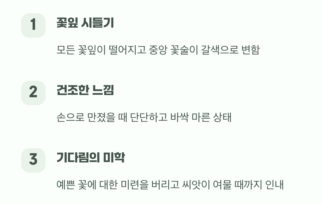 씨앗이 익어가는 신호