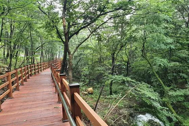 숲소리공원