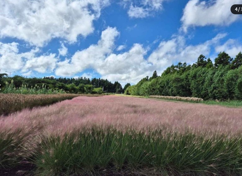 동쪽송당 동화마을