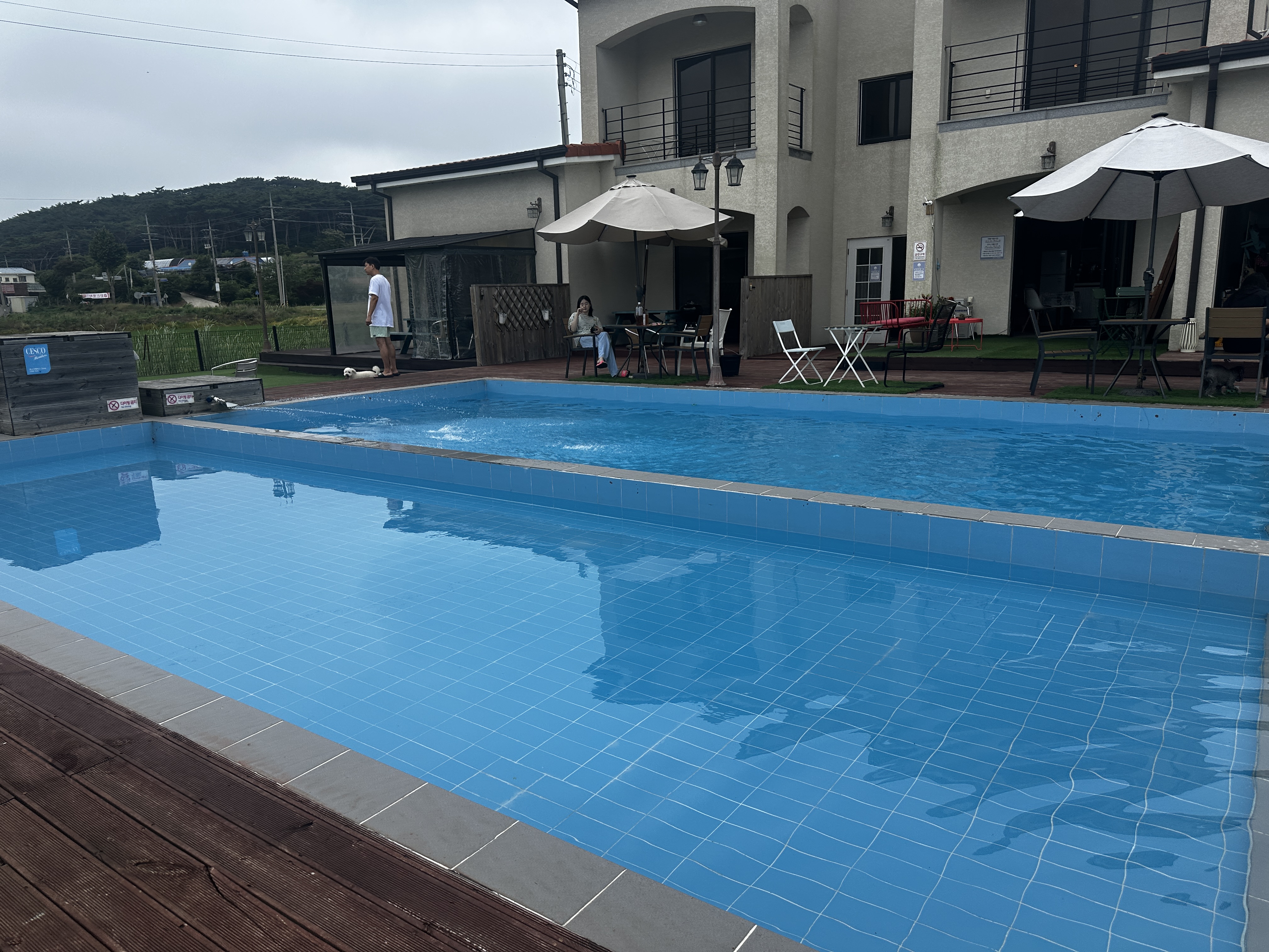 애견동반펜션 골드독 수영장모습 사람 무릎높이 수영장1개 가슴높이 수영장1개