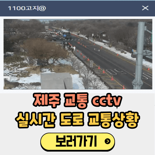 제주 교통 cctv 도로 교통상황 실시간 확인 방법