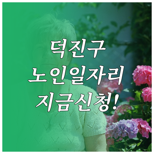 전주 덕진구 시니어클럽 노인 일자리 ..