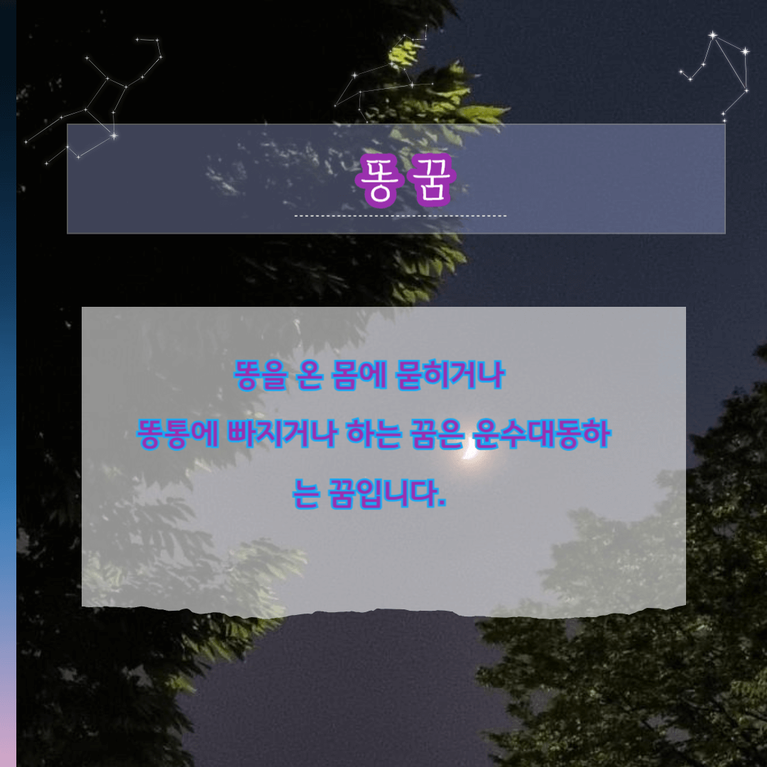 로또당첨되는 꿈-똥꿈