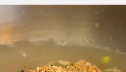 생활의 달인 막국수 달인