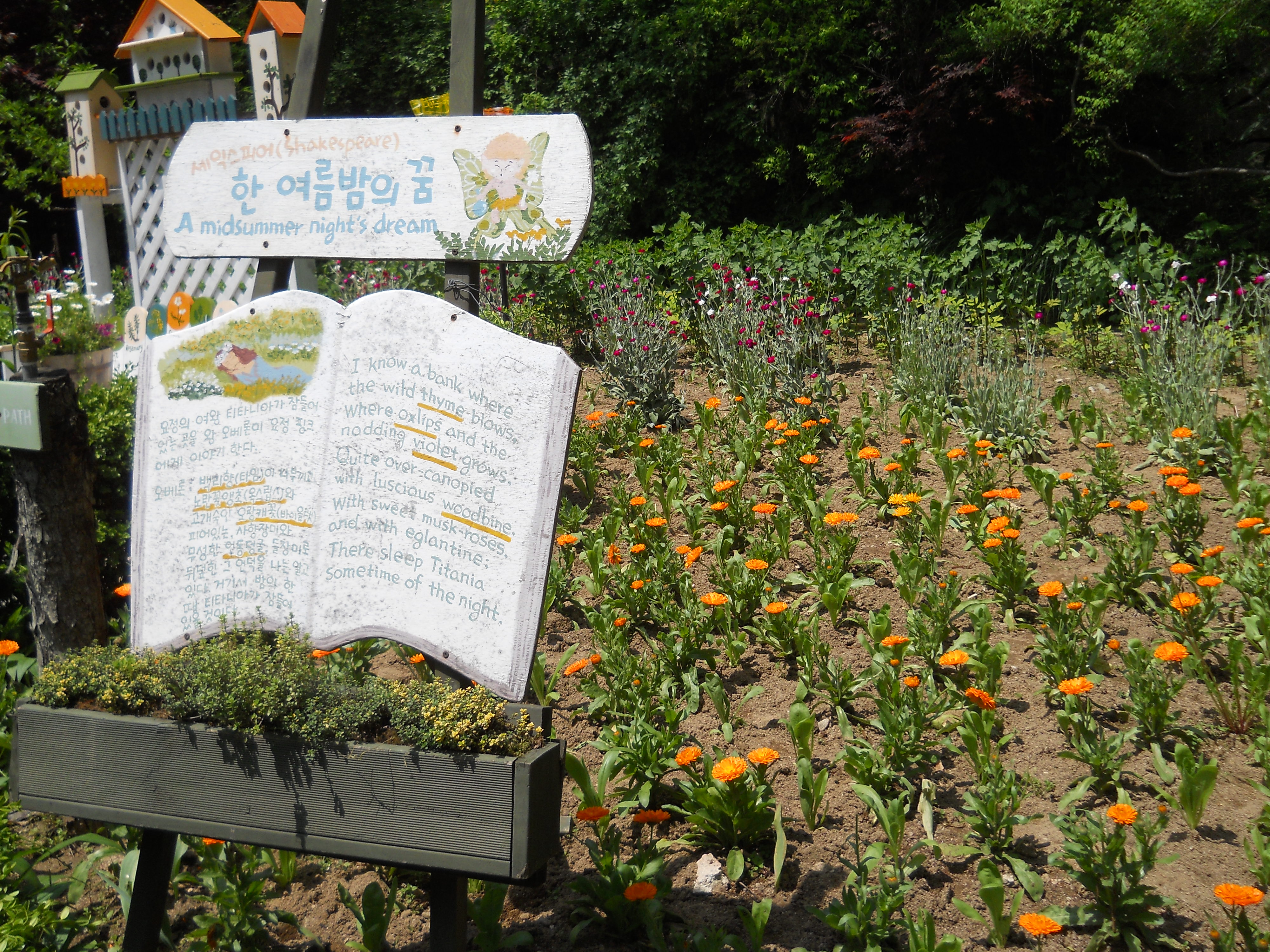 평창 허브나라 농원(Herbnara Farm)