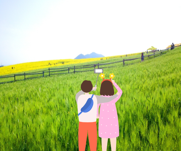 고창 청보리밭 축제 