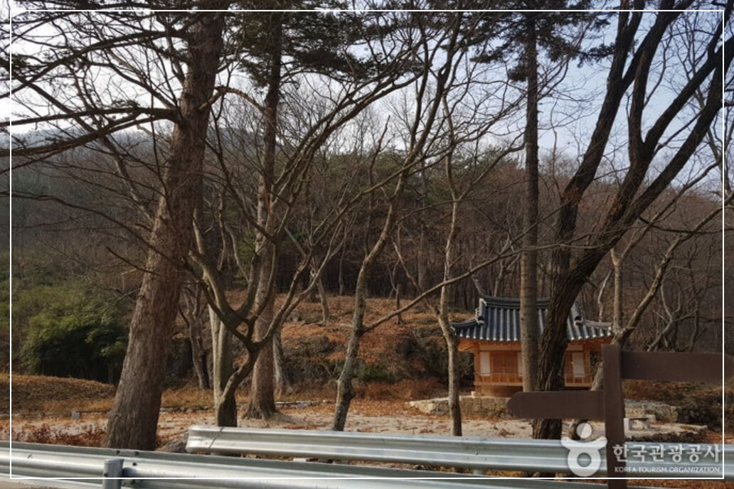 청도 가볼만한곳 베스트10 운문호반 둘레길