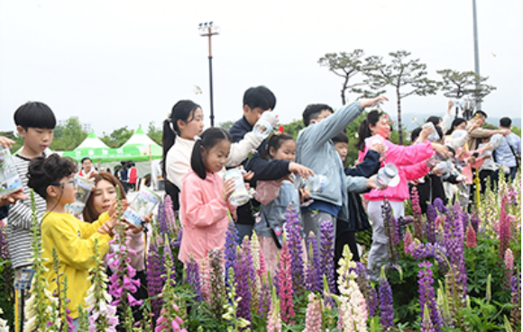 함평나비축제 행사정보