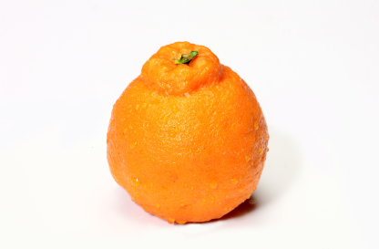 딸기와 봄 과일 – 비타민 충전