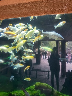 에버랜드 스마트줄서기