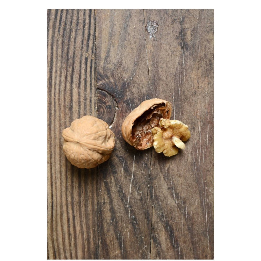 코엔자임 큐텐과 관련된 사진입니다.