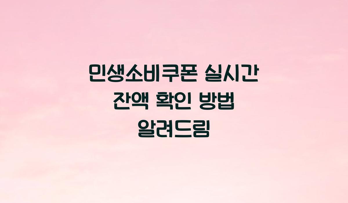 민생소비쿠폰 실시간 잔액 확인 방법 알려드림