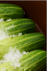 오이지 물없이담그는방법