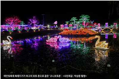 태안네이처월드 조명사진