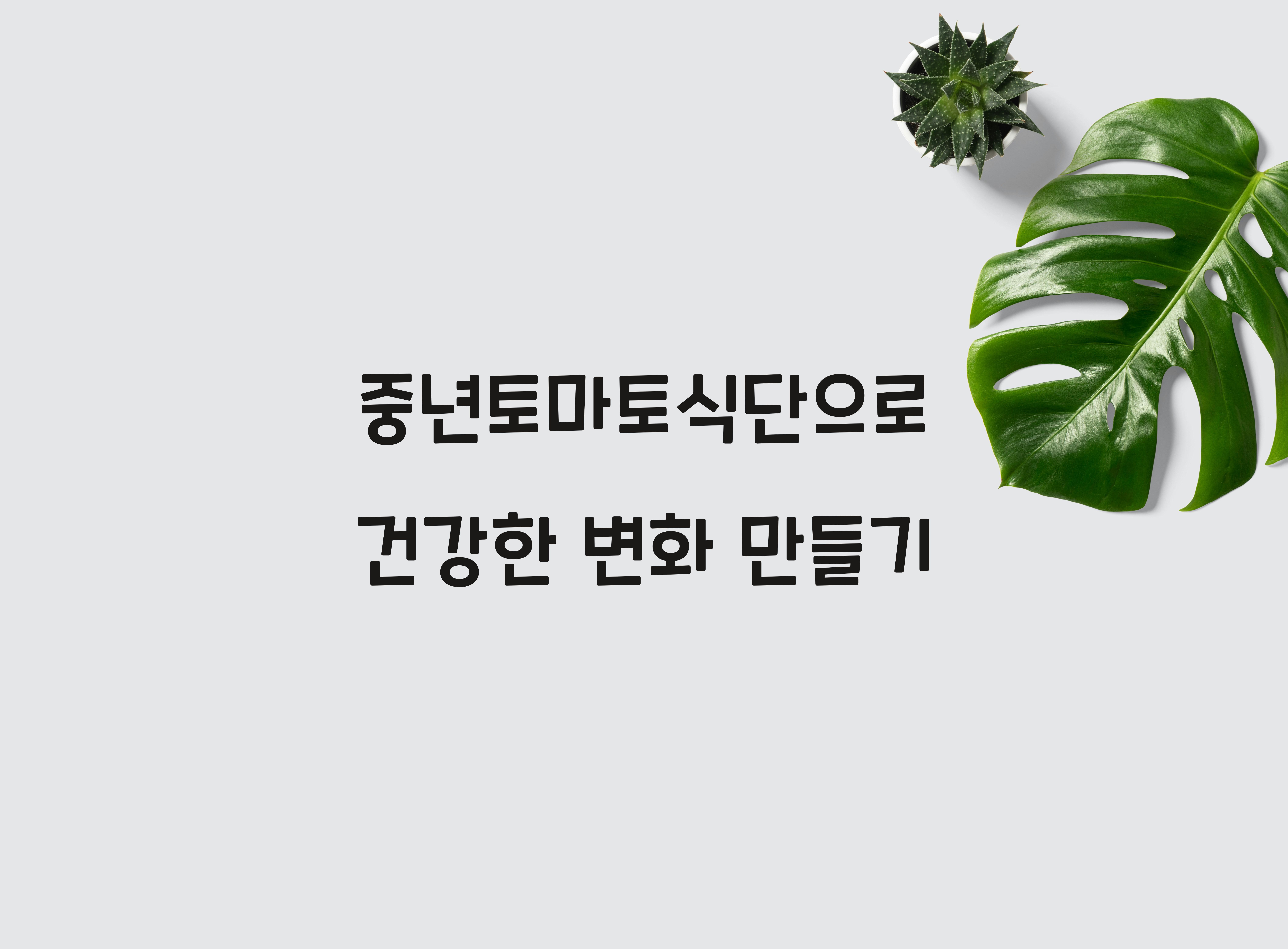 중년토마토식단
