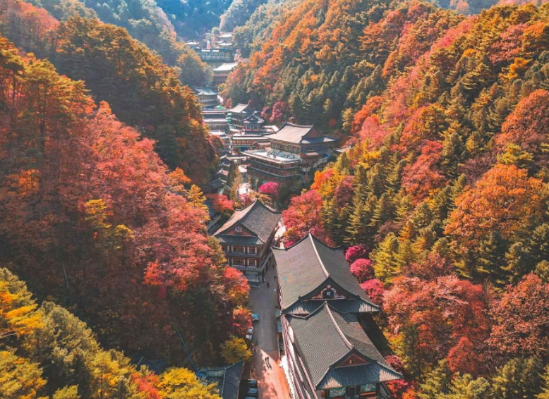 구인사 전경 사진