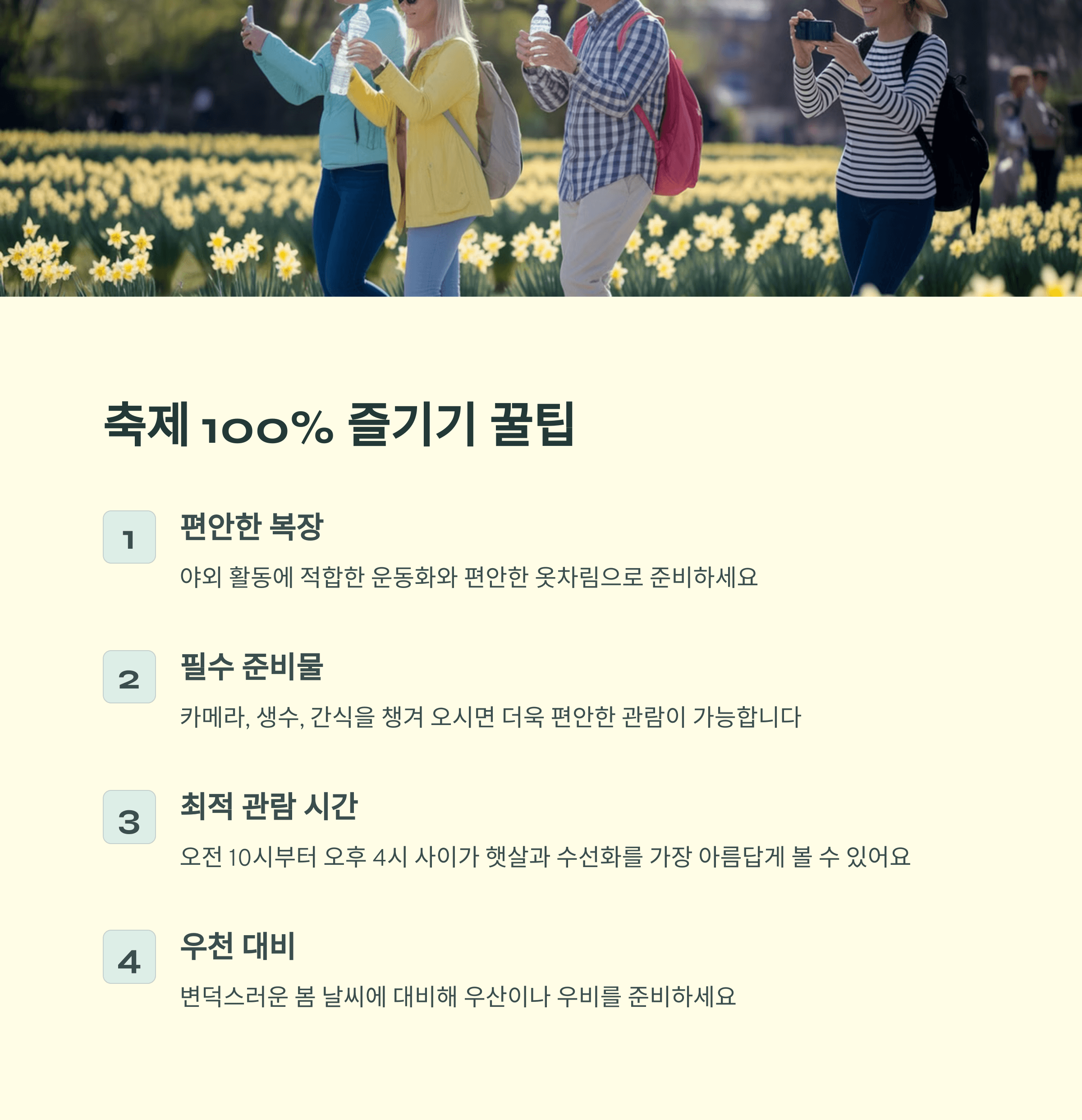 2025년 신안 선도 섬 수선화 축제