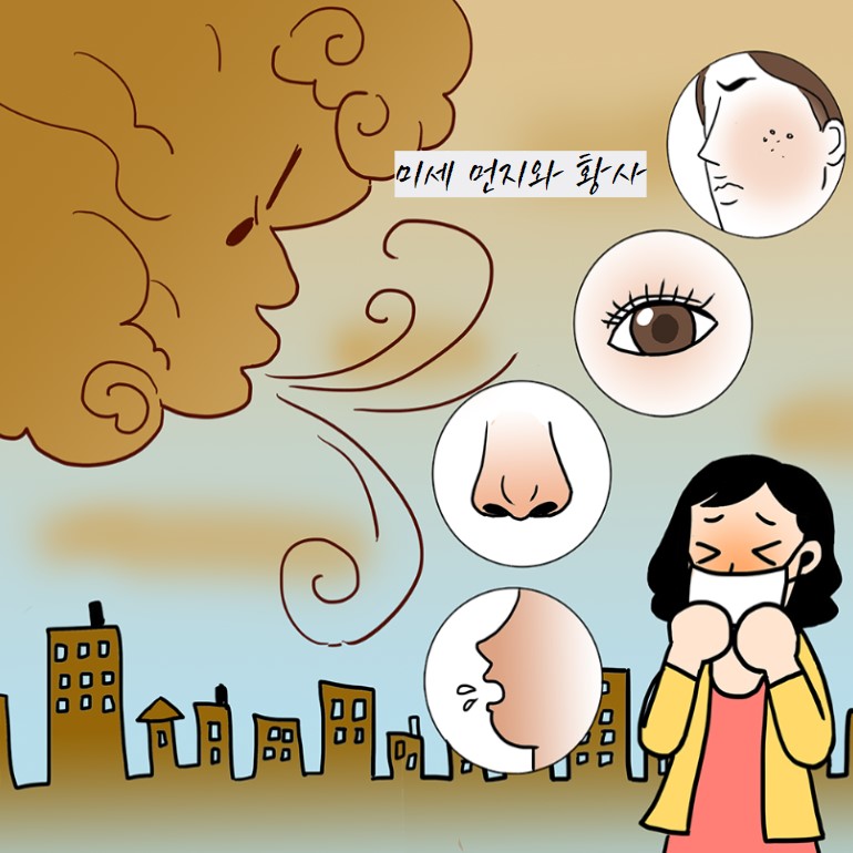 미세 먼지와 황사(7)