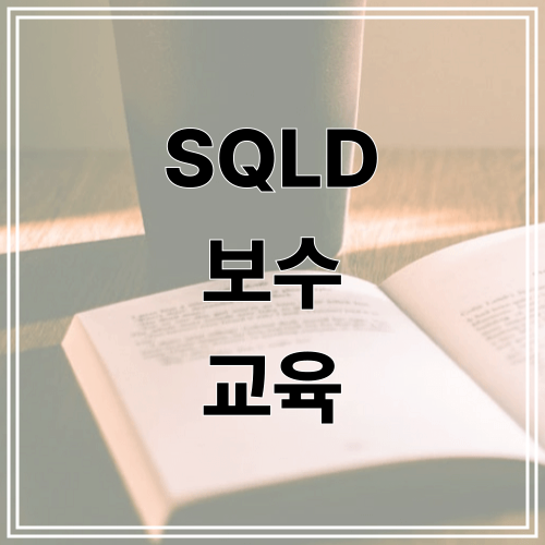SQLD 보수 교육
