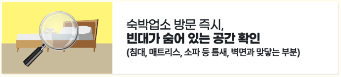 빈대-확인-이미지