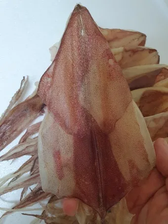 한치 오징어 차이 비교 생김새 맛 식감 완벽 분석_17