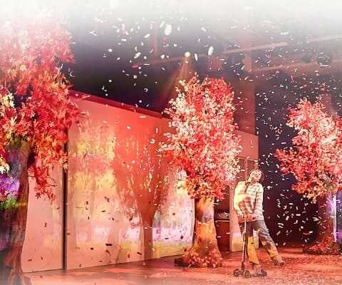 뮤지컬 알사탕 공연중 꽃 가루가 날리는 장면