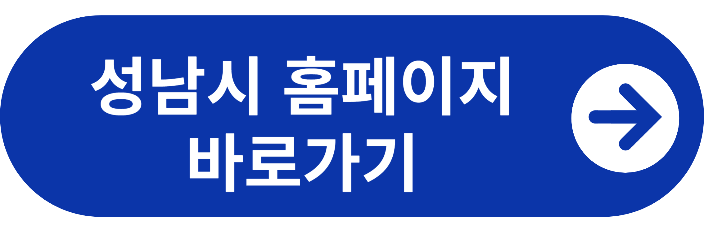 성남시 지역화폐 홈페이지 바로가기