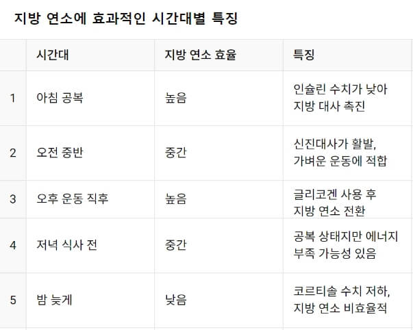 지방 연소에 효과적인 시간대별 특징