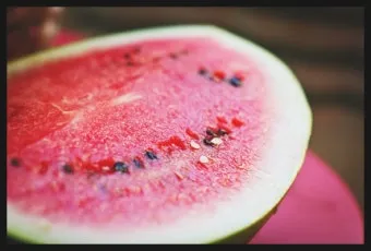 수박껍질 음식물쓰레기 헷갈리는 분들을 위한 정확한 정리_10