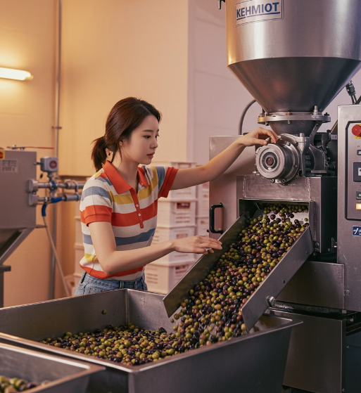 엑스트라버진 올리브오일이란?