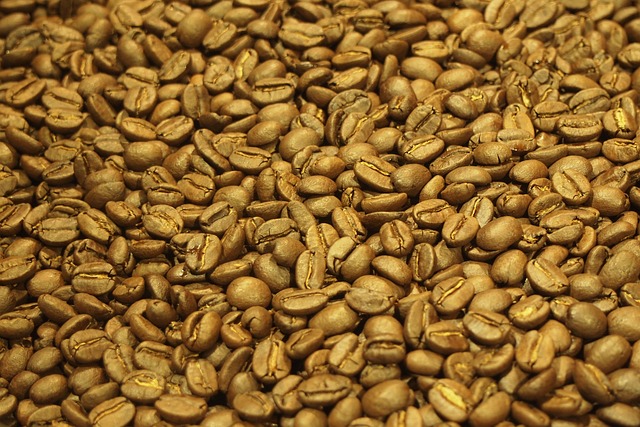 커피 원두 관련 사진