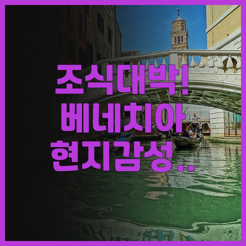 레지덴차 베네치아 우나 에스페리엔체 ..