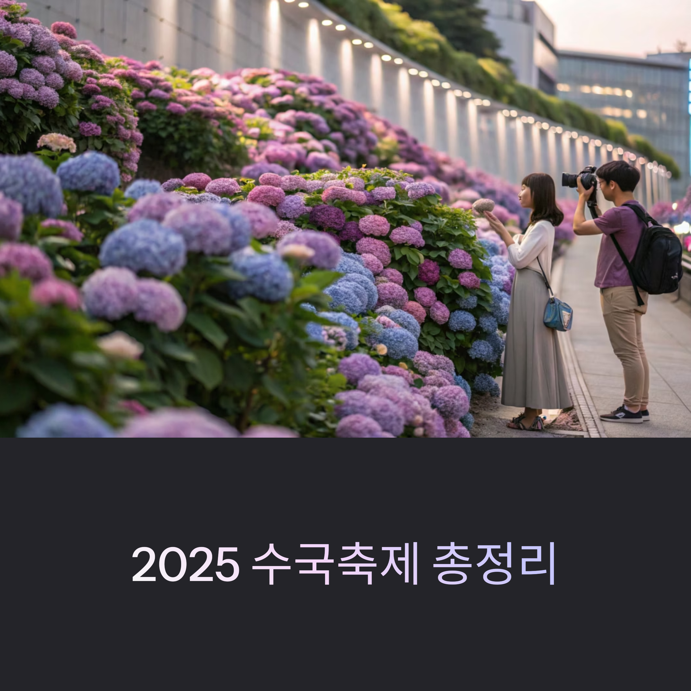 2025년 수국축제 총정리: 일정&middot;장소부터 꿀팁까지 한눈에!