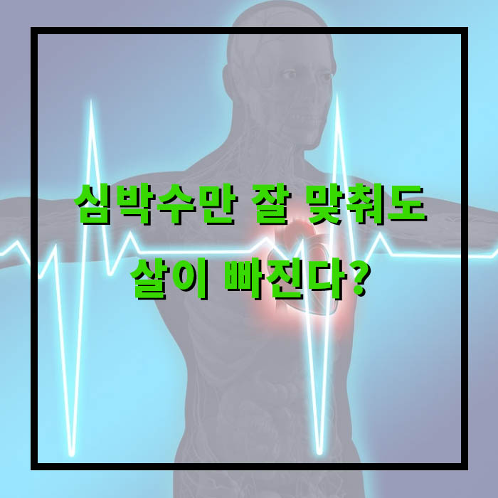 운동해도 살이 안 빠진다면? 심박수를 의심해보세요