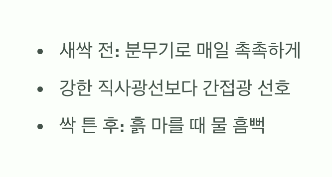 물과 햇빛, 이것만 기억하세요