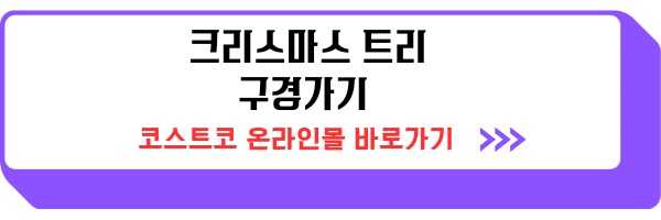 코스트코 송도점 크리스마스