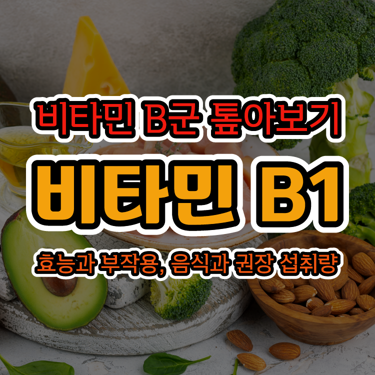 [비타민 B군 톺아보기] 비타민 B1 - 효능과 부작용, 음식과 권장 섭취량