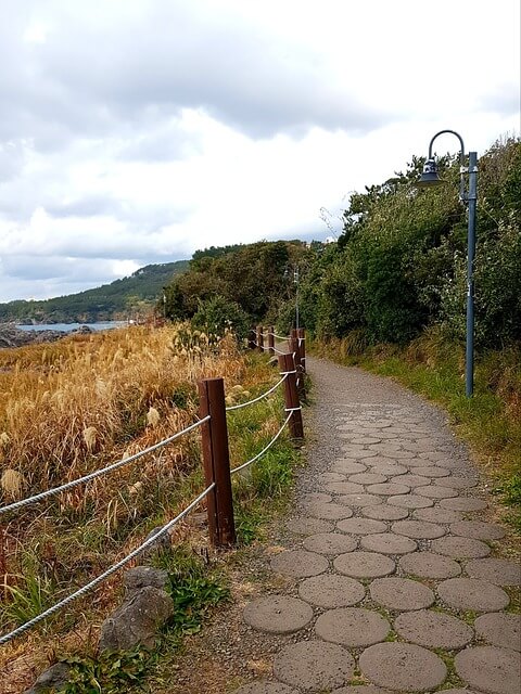 한라산 국립공원 실시간 cctv 바로가기