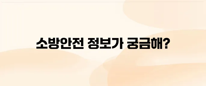 한국소방안전원 홈페이지 (https://www.kfsi.or.kr)