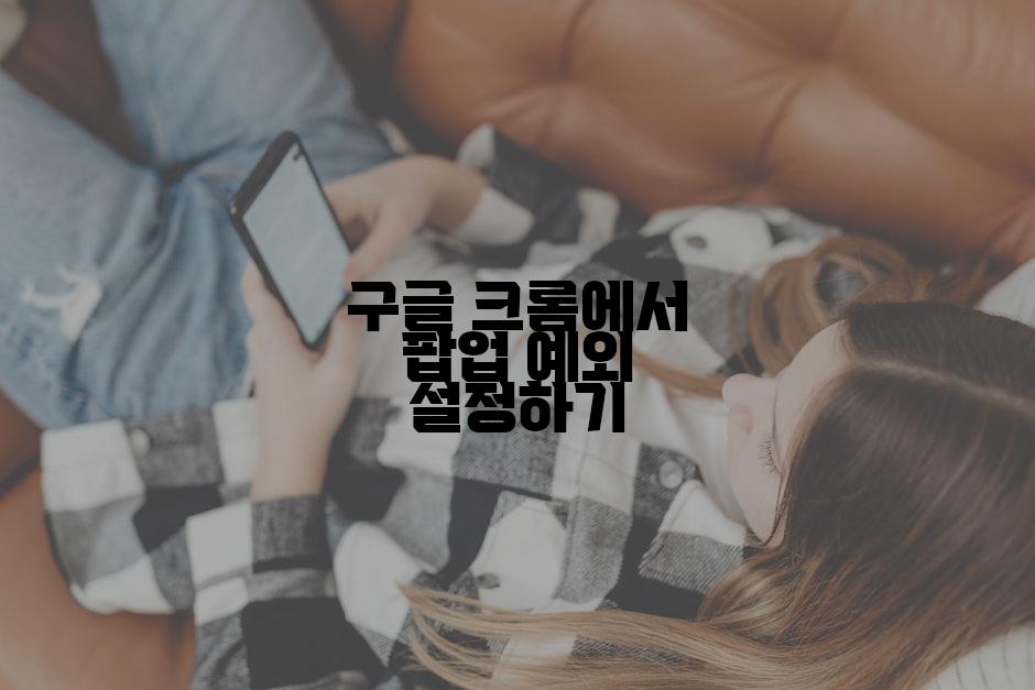 구글 크롬에서 팝업 예외 설정하기